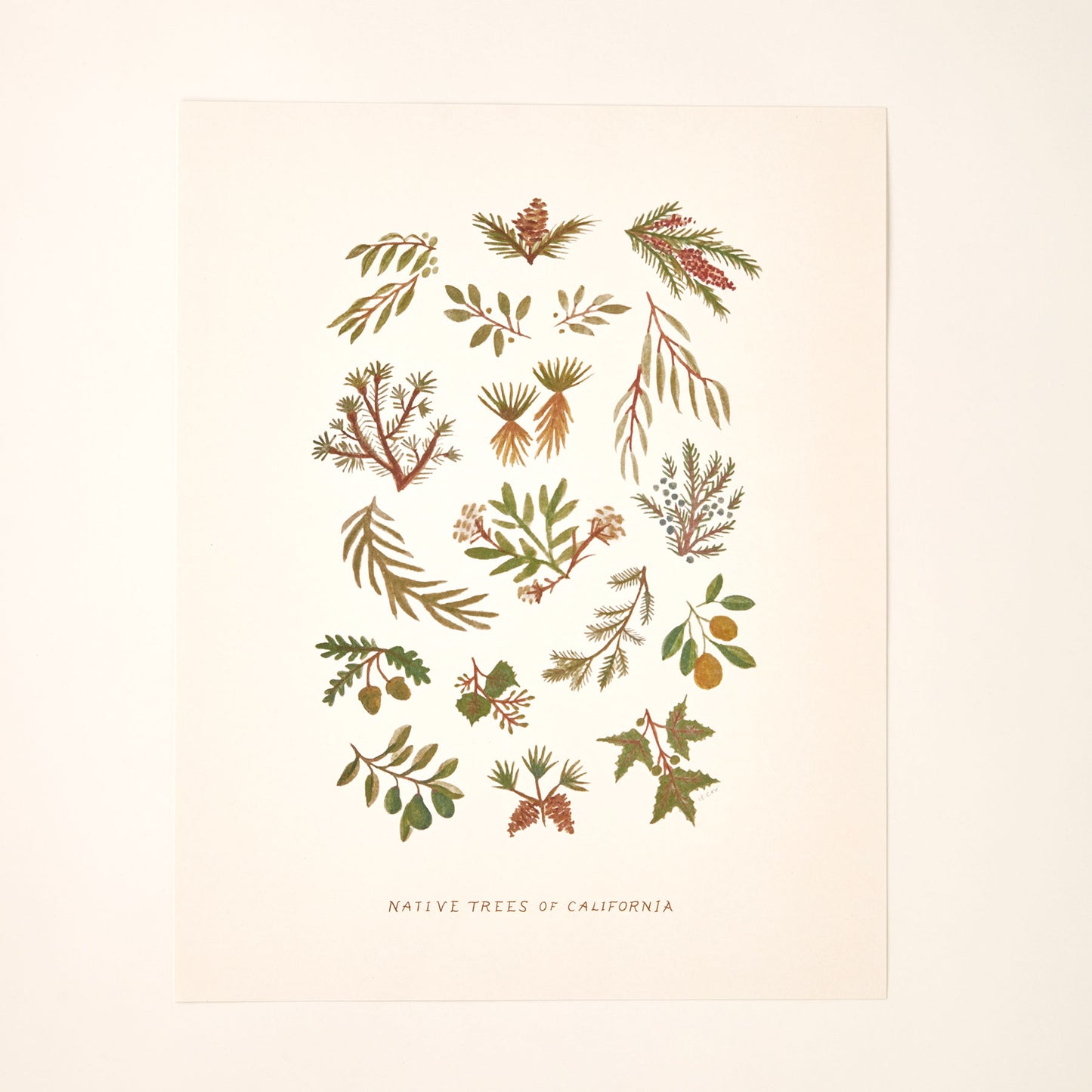 California Native Trees Art Print