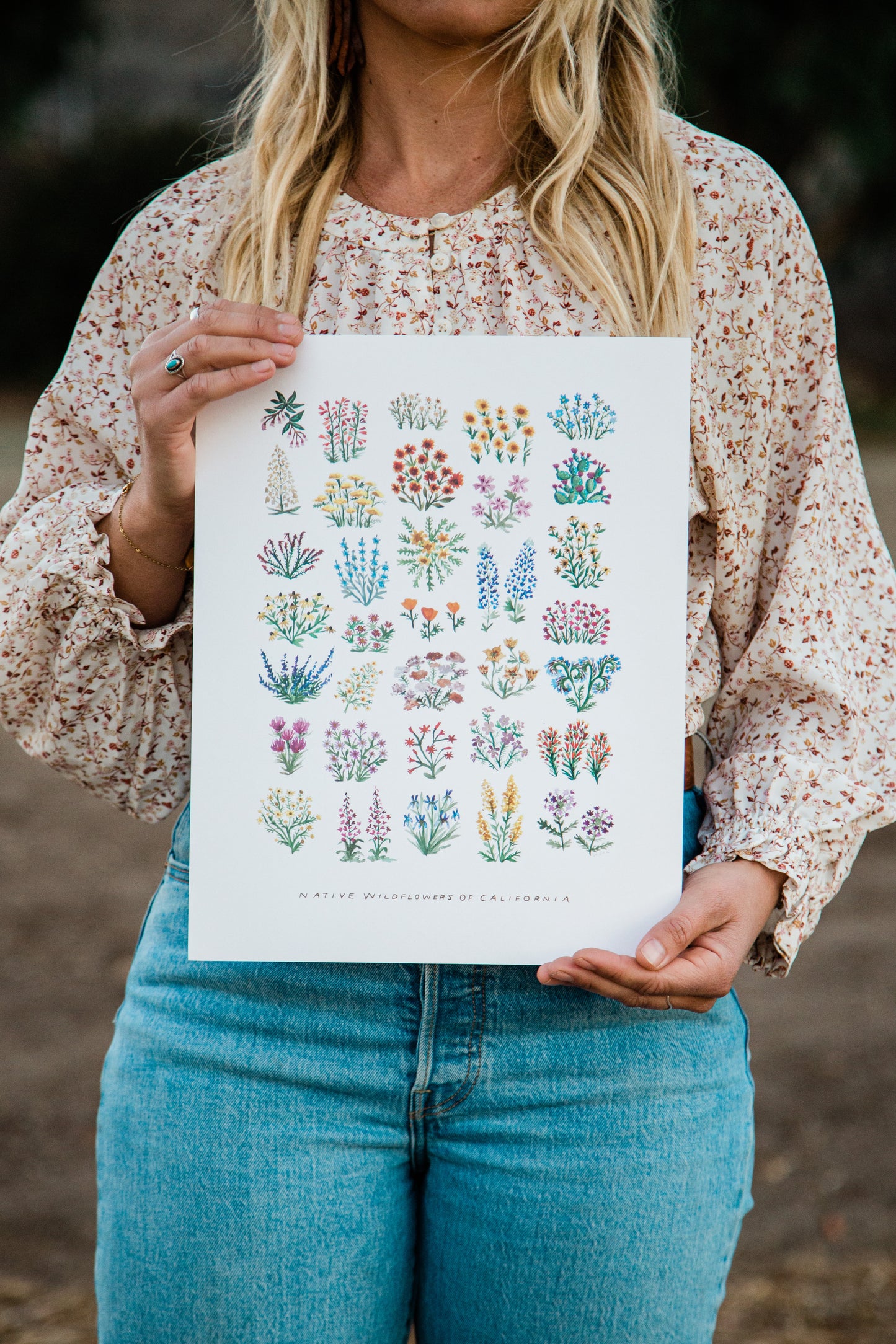 California Native Wildflowers Art Print