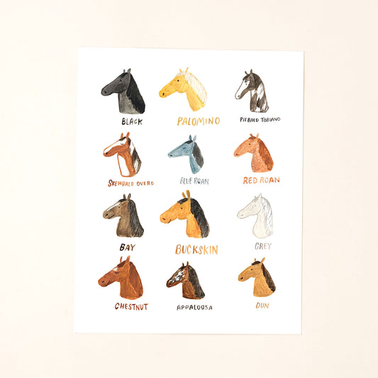 Horse Breeds Art Print