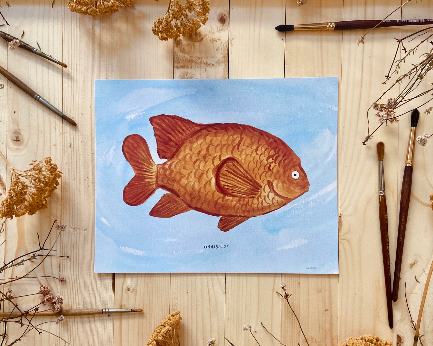 Garibaldi CA State Fish Art Print