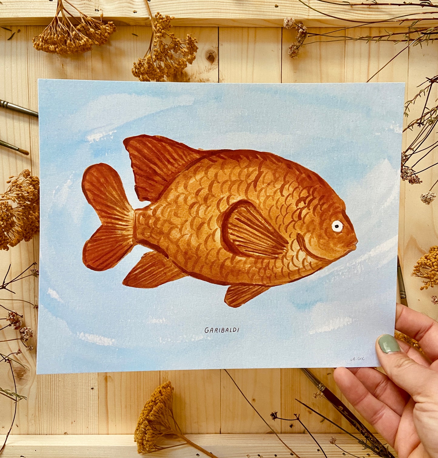 Garibaldi CA State Fish Art Print