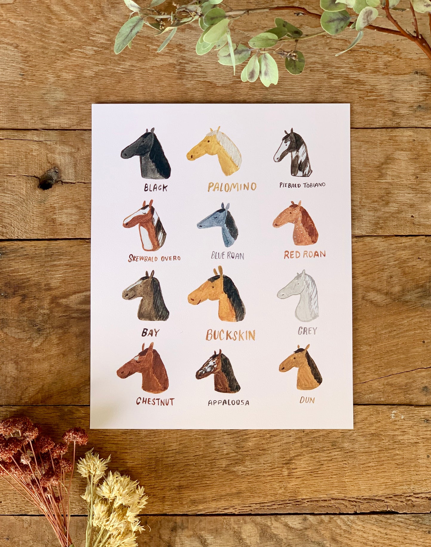 Horse Breeds Art Print