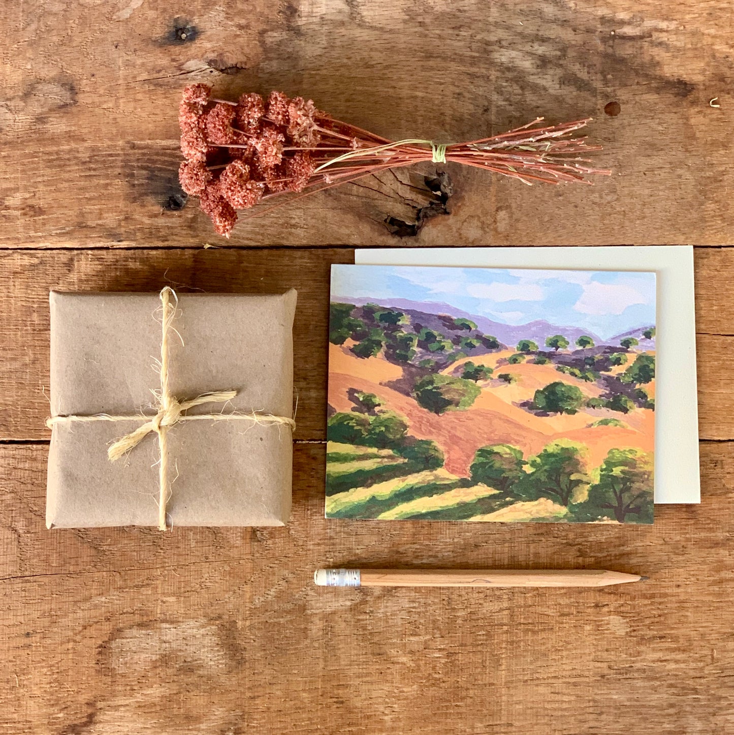 Western Valley Greeting Card