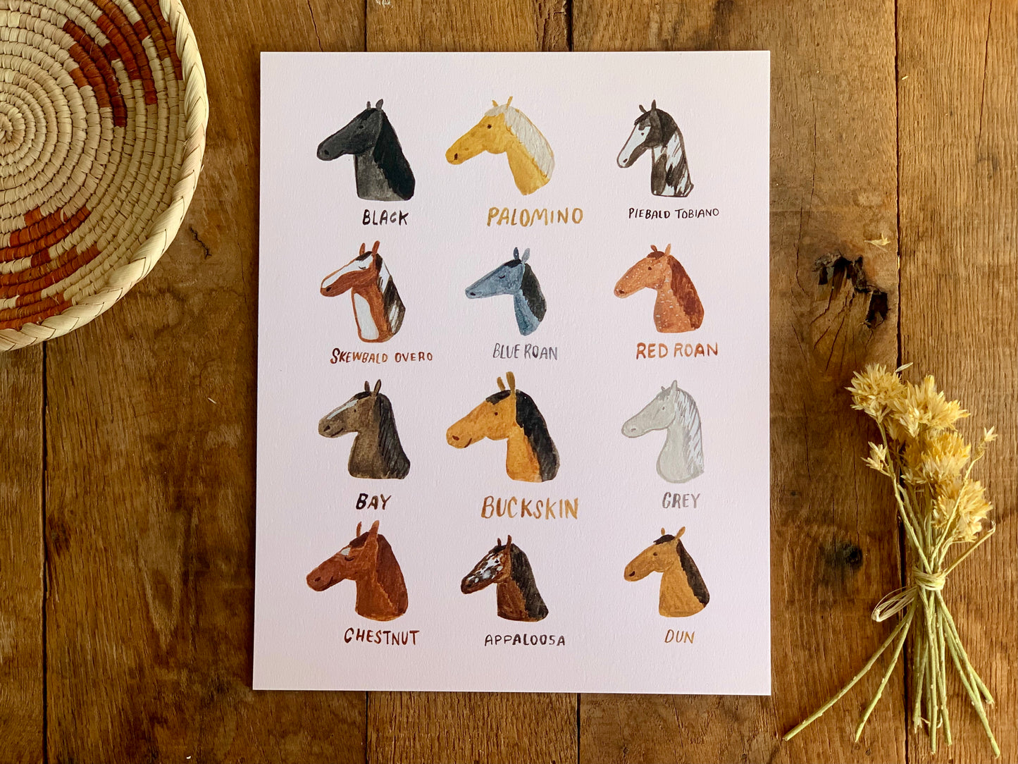 Horse Breeds Art Print