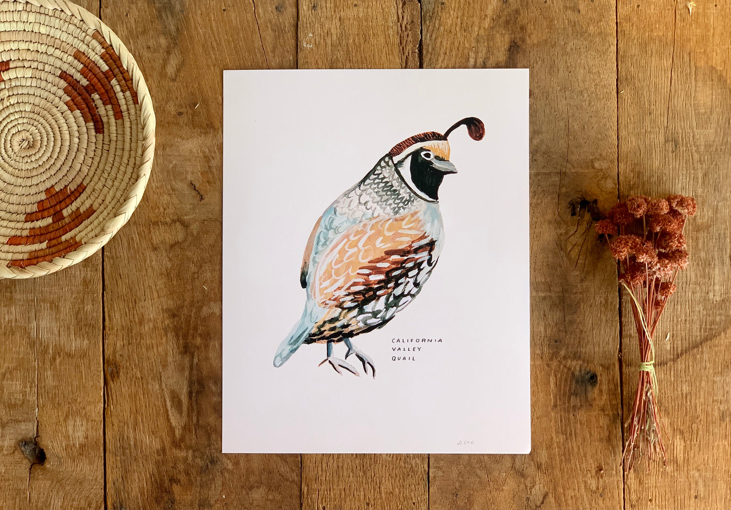 Valley Quail Art Print