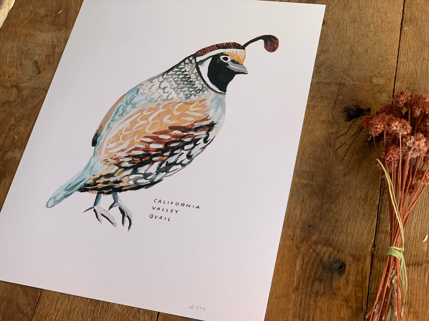 Valley Quail Art Print