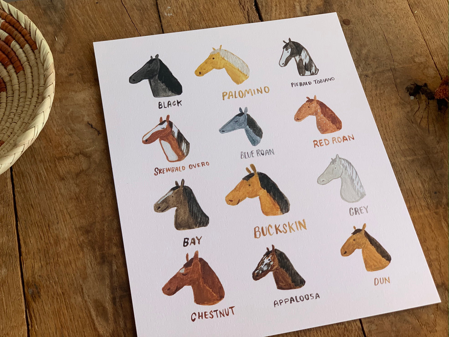 Horse Breeds Art Print