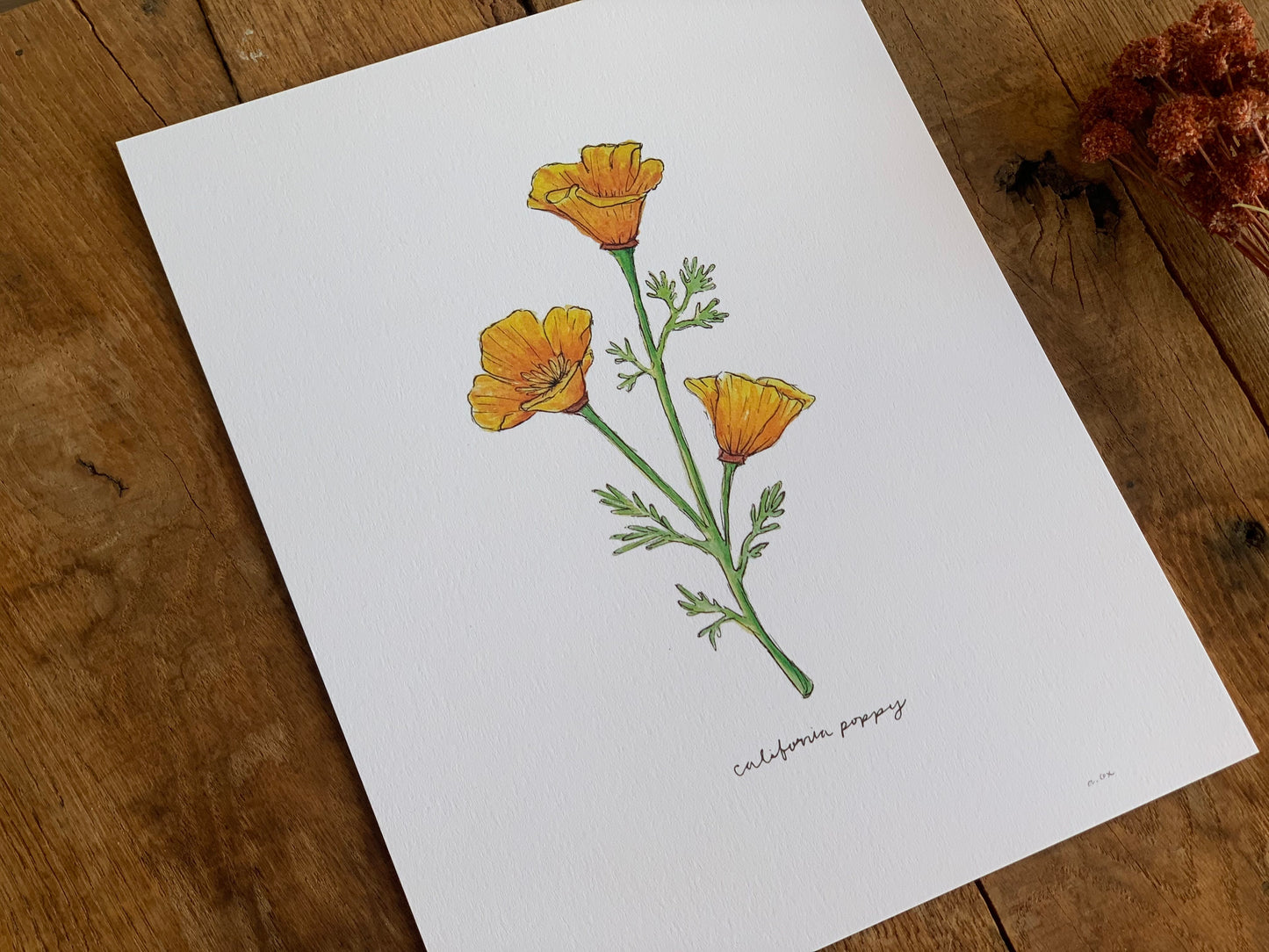 California Golden Poppy Art Print