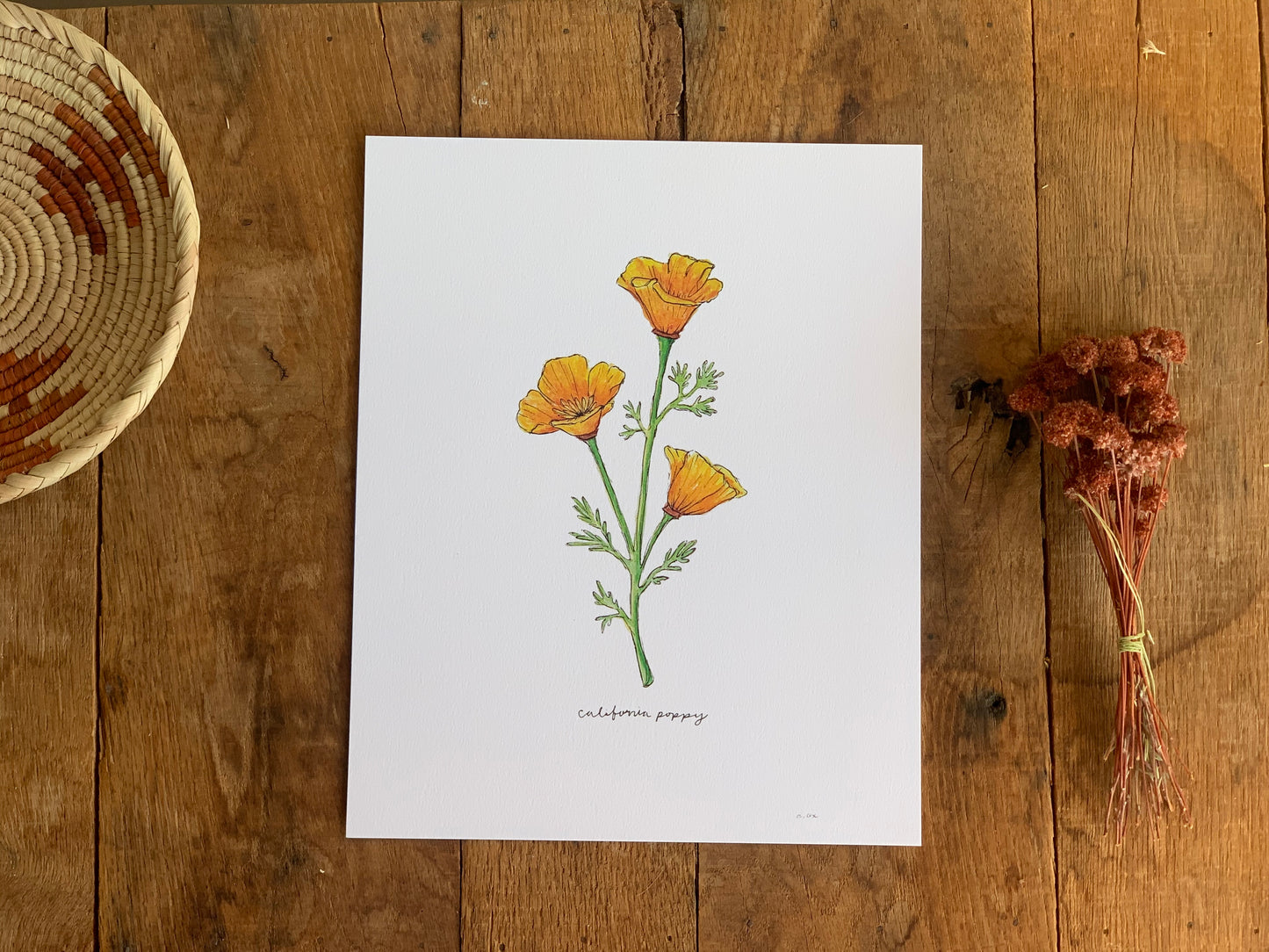 California Golden Poppy Art Print