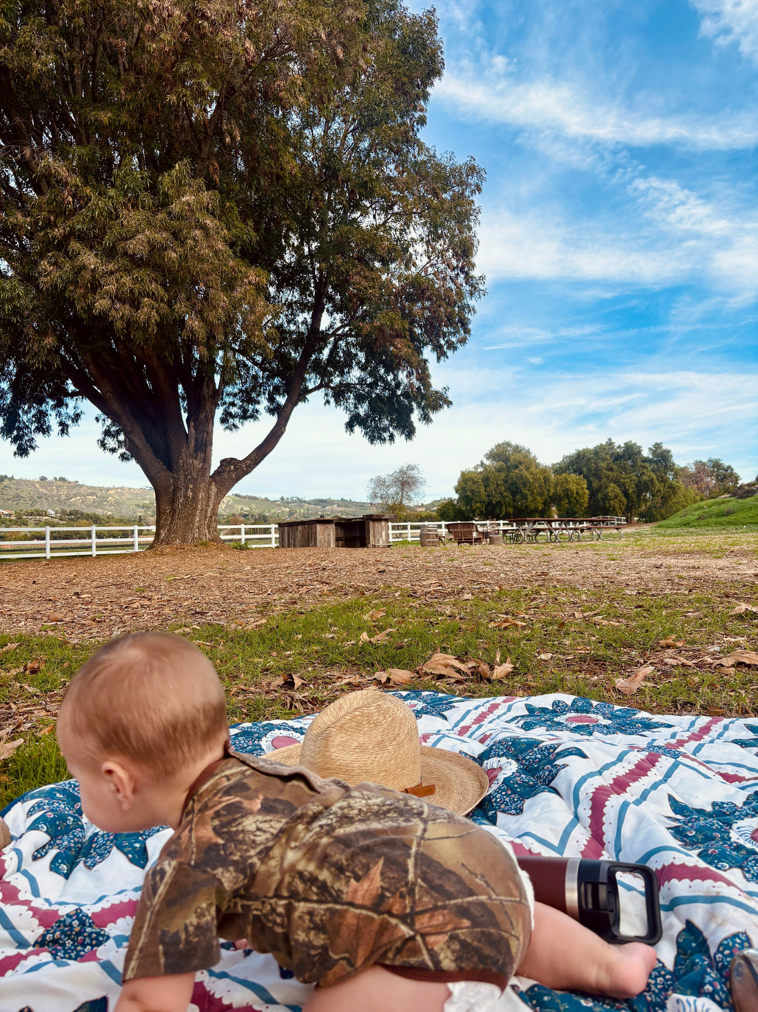 Winter 2026: A New Addition to the Family