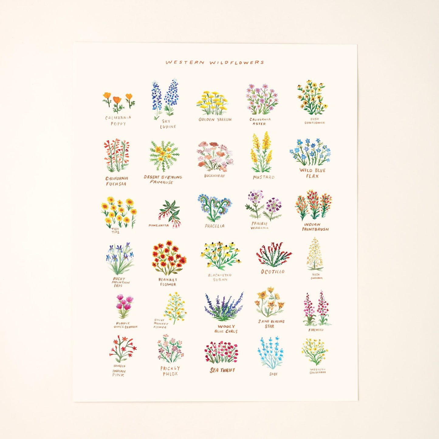 Western Wildflowers Art Print with Names