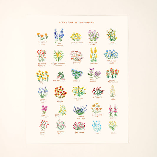 Western Wildflowers Art Print with Names