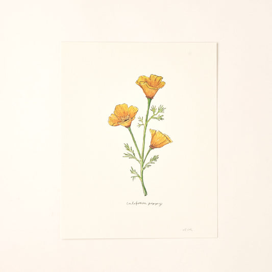 California Golden Poppy Art Print