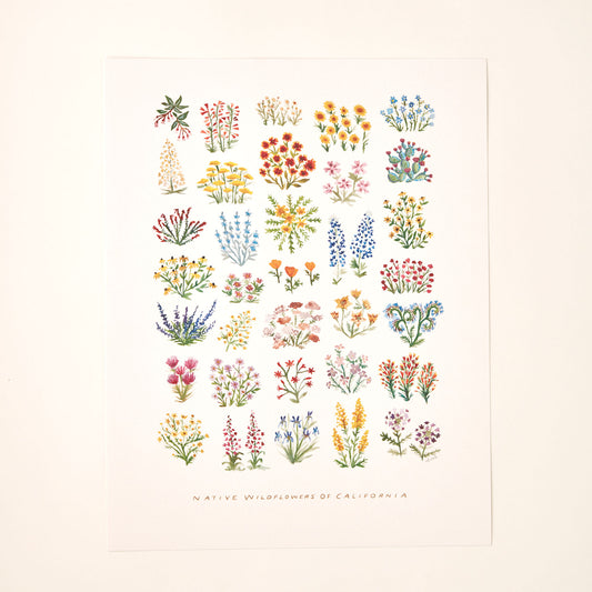 California Native Wildflowers Art Print