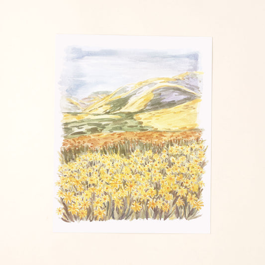 Wildflower Super Bloom Art Print