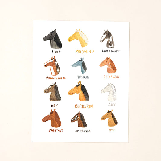 Horse Breeds Art Print
