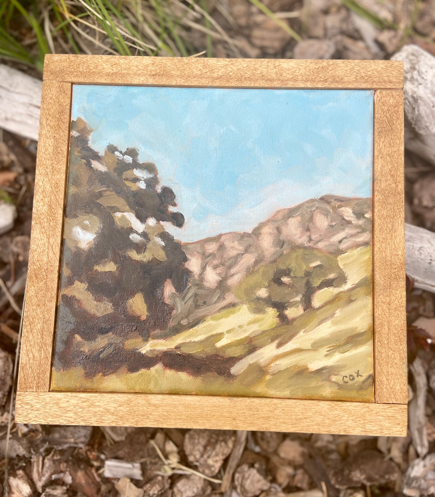 "Canyon Oaks" Original Plein Air Painting
