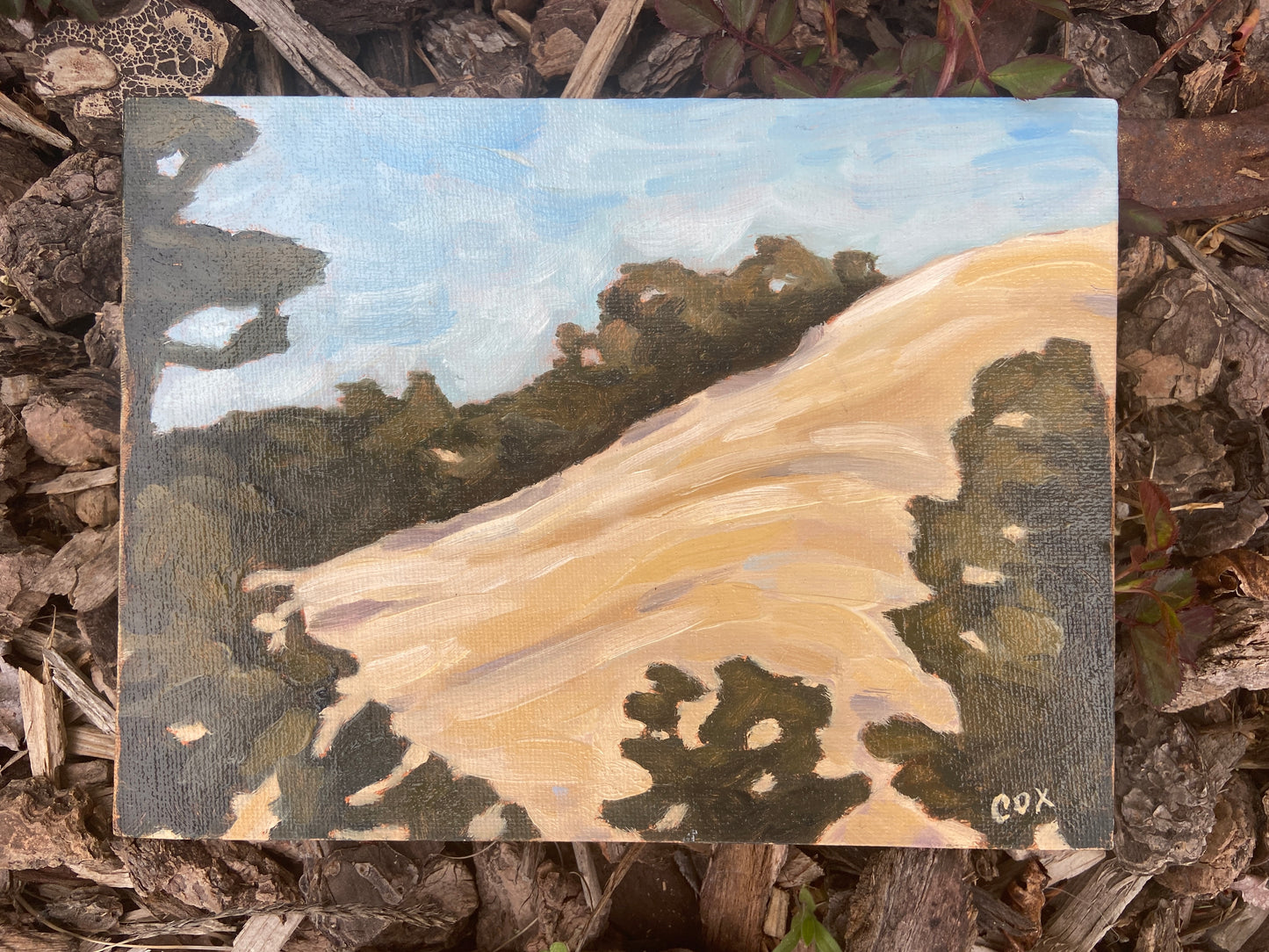 "Central Coast Prairie" Original Oil Painting
