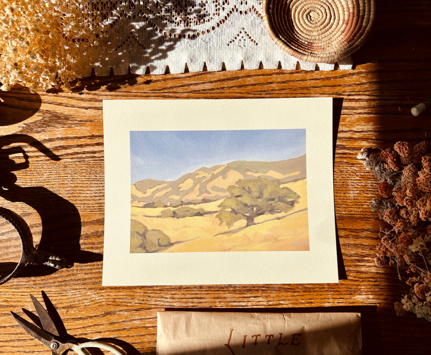 Lone Oak Tree Art Print