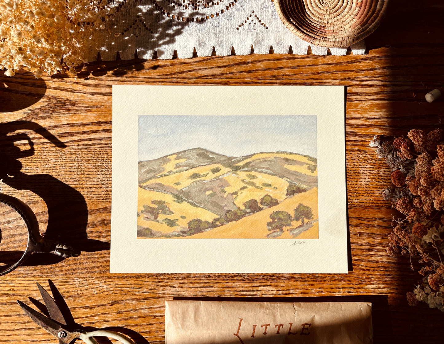 Dry Hills in the Afternoon Art Print