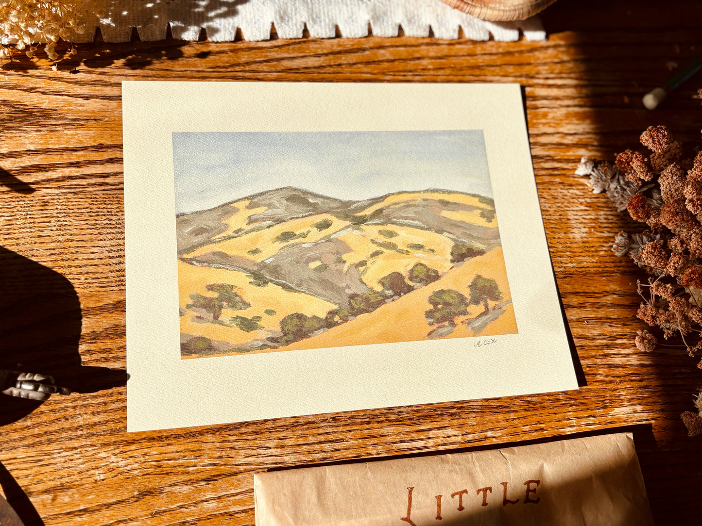 Dry Hills in the Afternoon Art Print