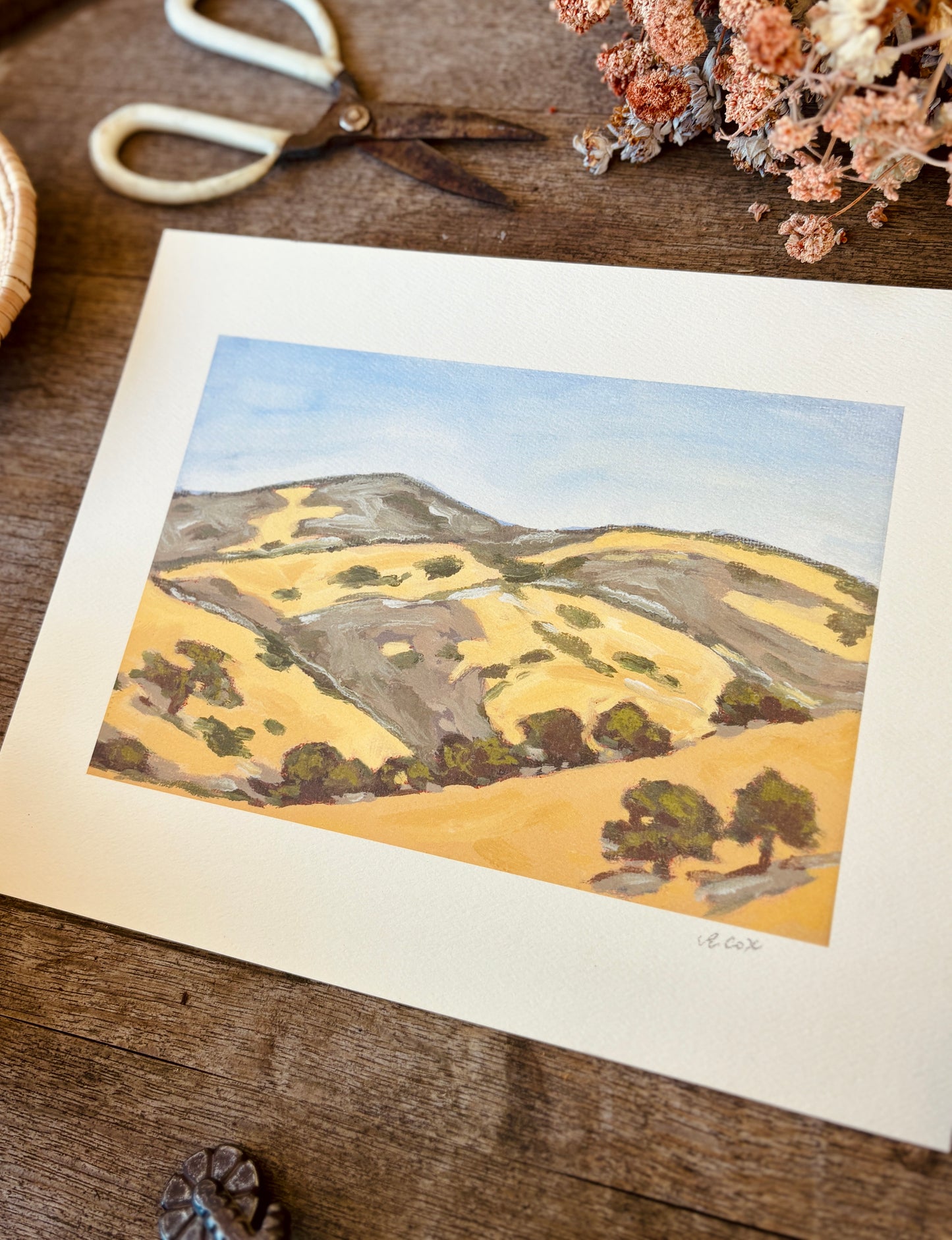 Dry Hills in the Afternoon Art Print