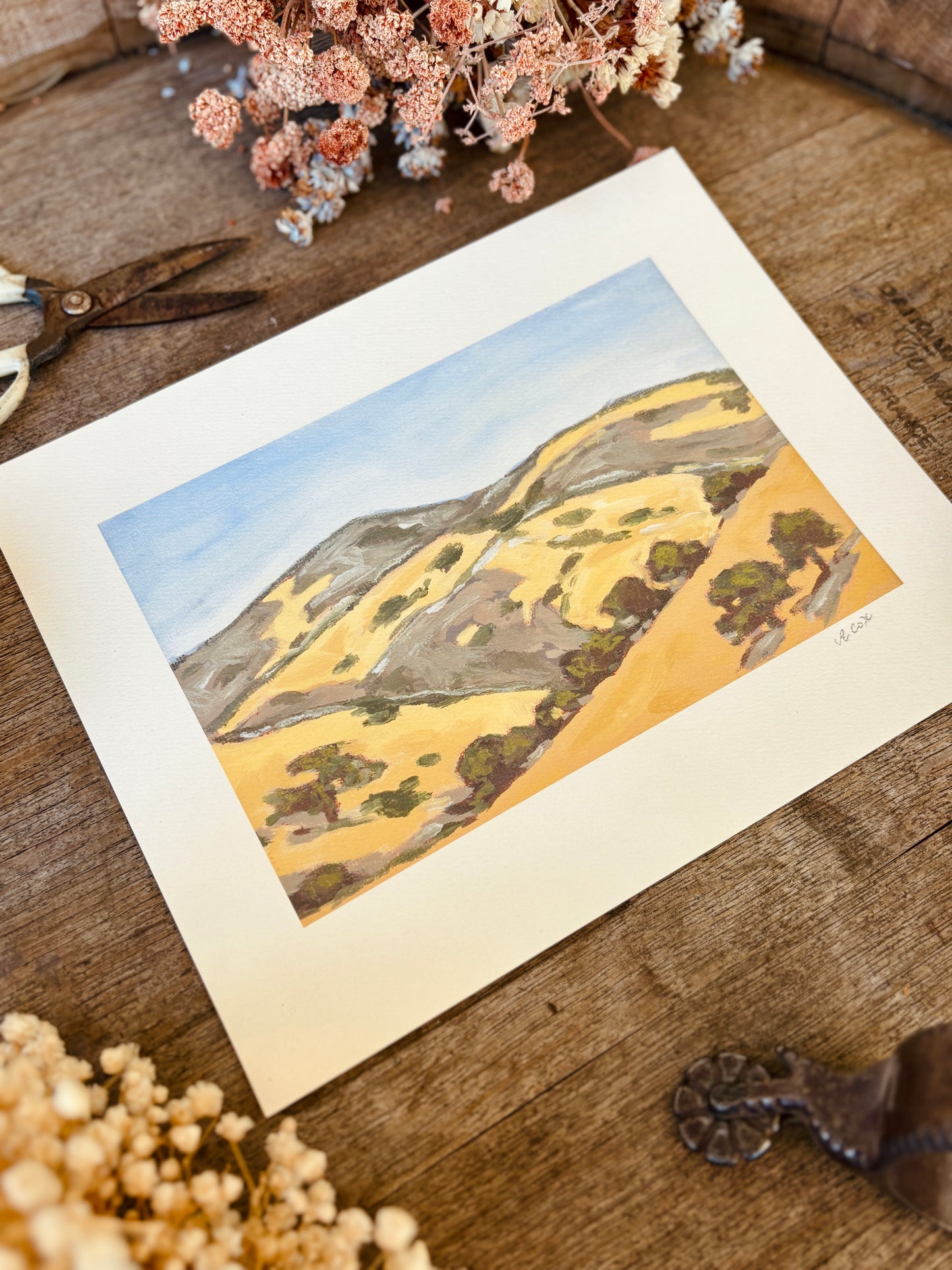 Dry Hills in the Afternoon Art Print