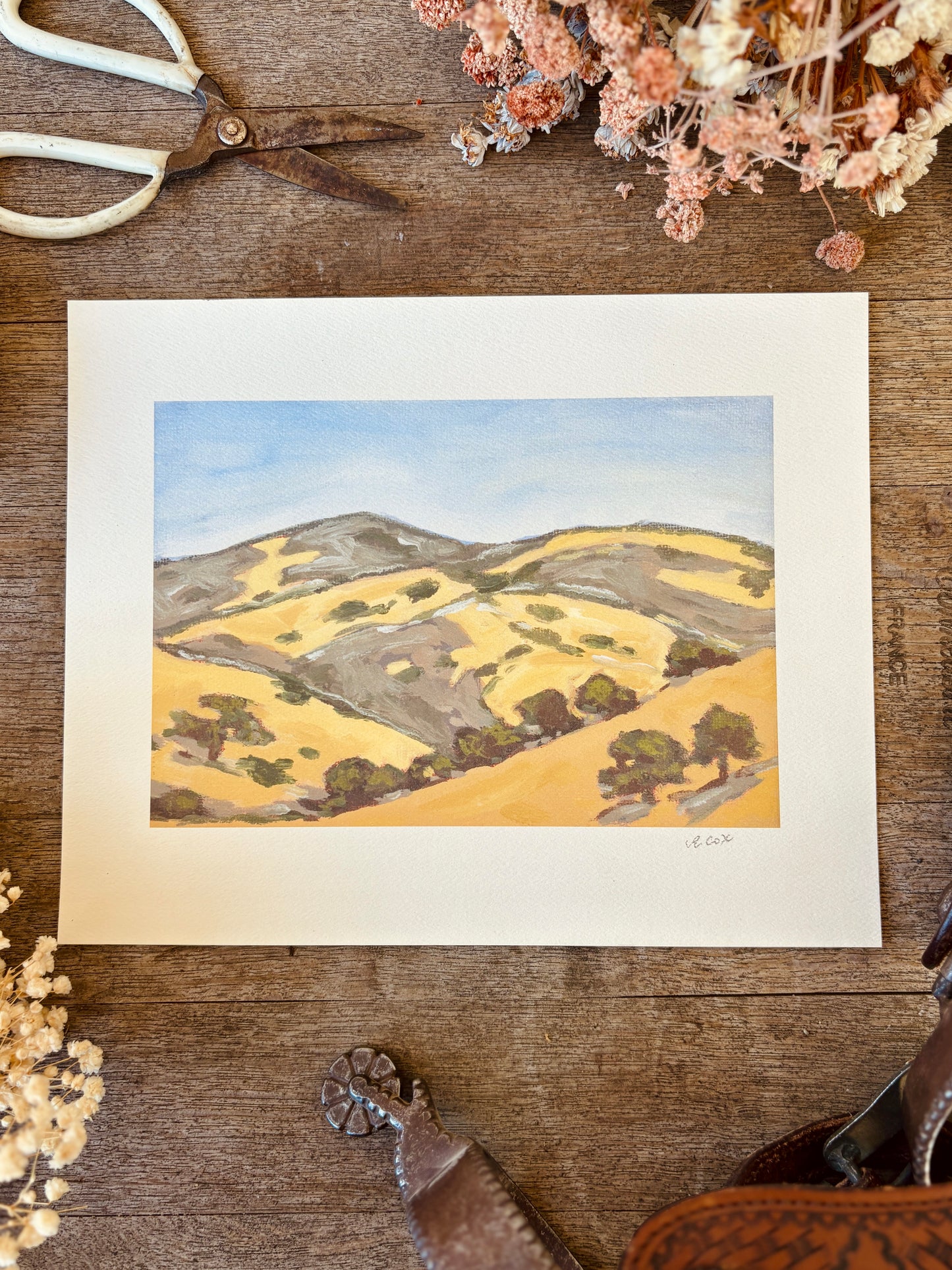 Dry Hills in the Afternoon Art Print