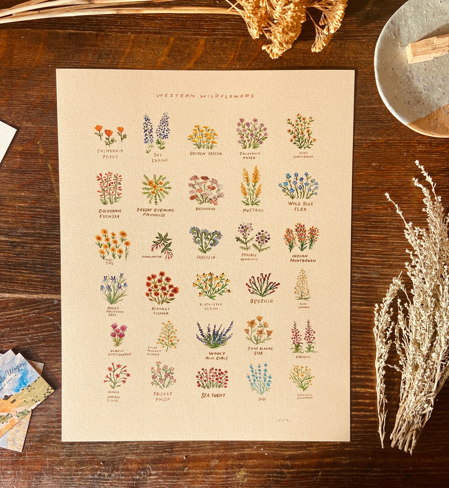 Western Wildflowers Art Print with Names