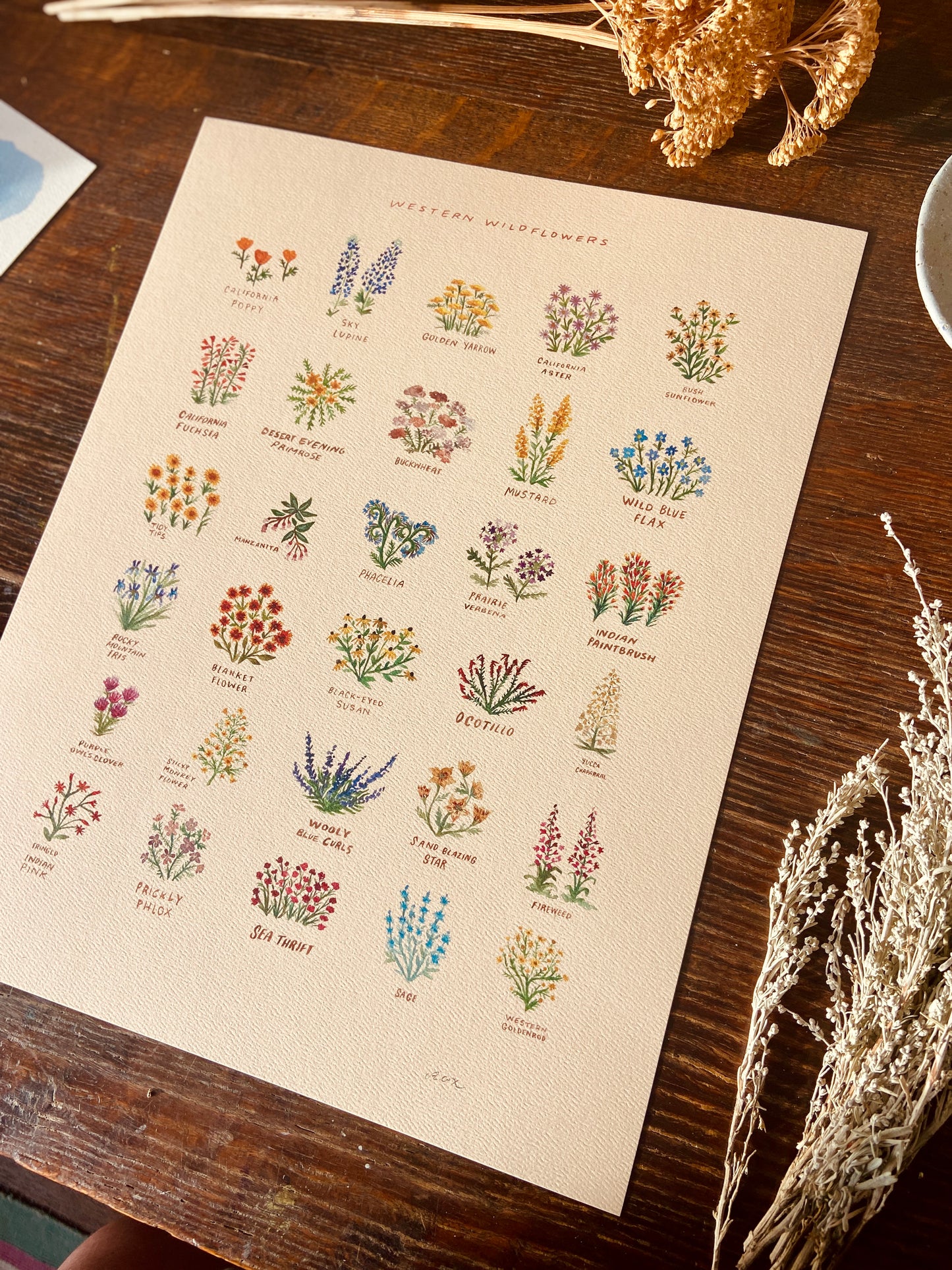 Western Wildflowers Art Print with Names