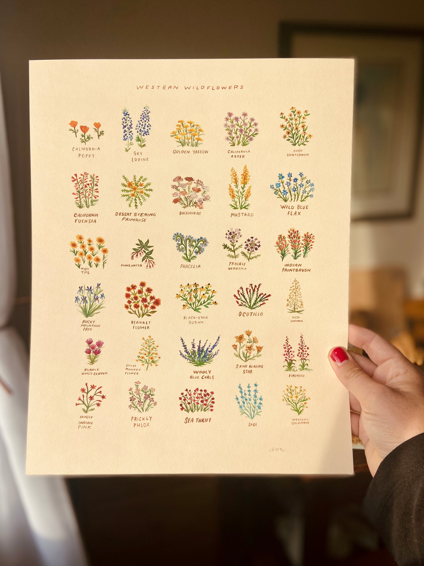 Western Wildflowers Art Print with Names