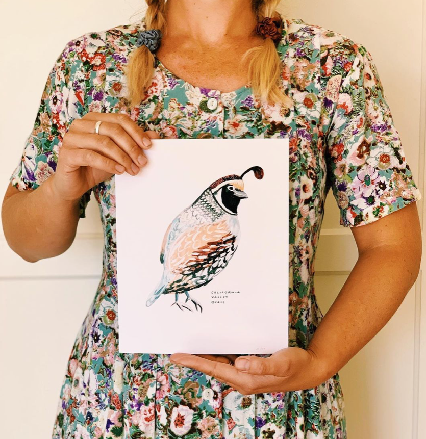 Valley Quail Art Print